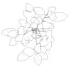 Revit Family / 3D Model - Ficus 2 - Revit and AutoCAD Top View