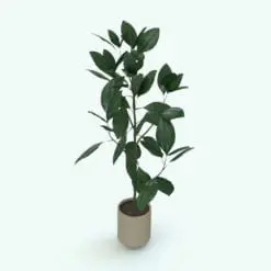 Ficus Elastica Revit Plant Family in 3D and rendered inside of Revit. Ideal for interior or exterior design projects, this and all our Revit plants are created with a hybrid technology that allows they to look realistic in any setting. Additionally, all our Revit plants include 3D Max, AutoCAD and Vray version so you can use them in different platforms.