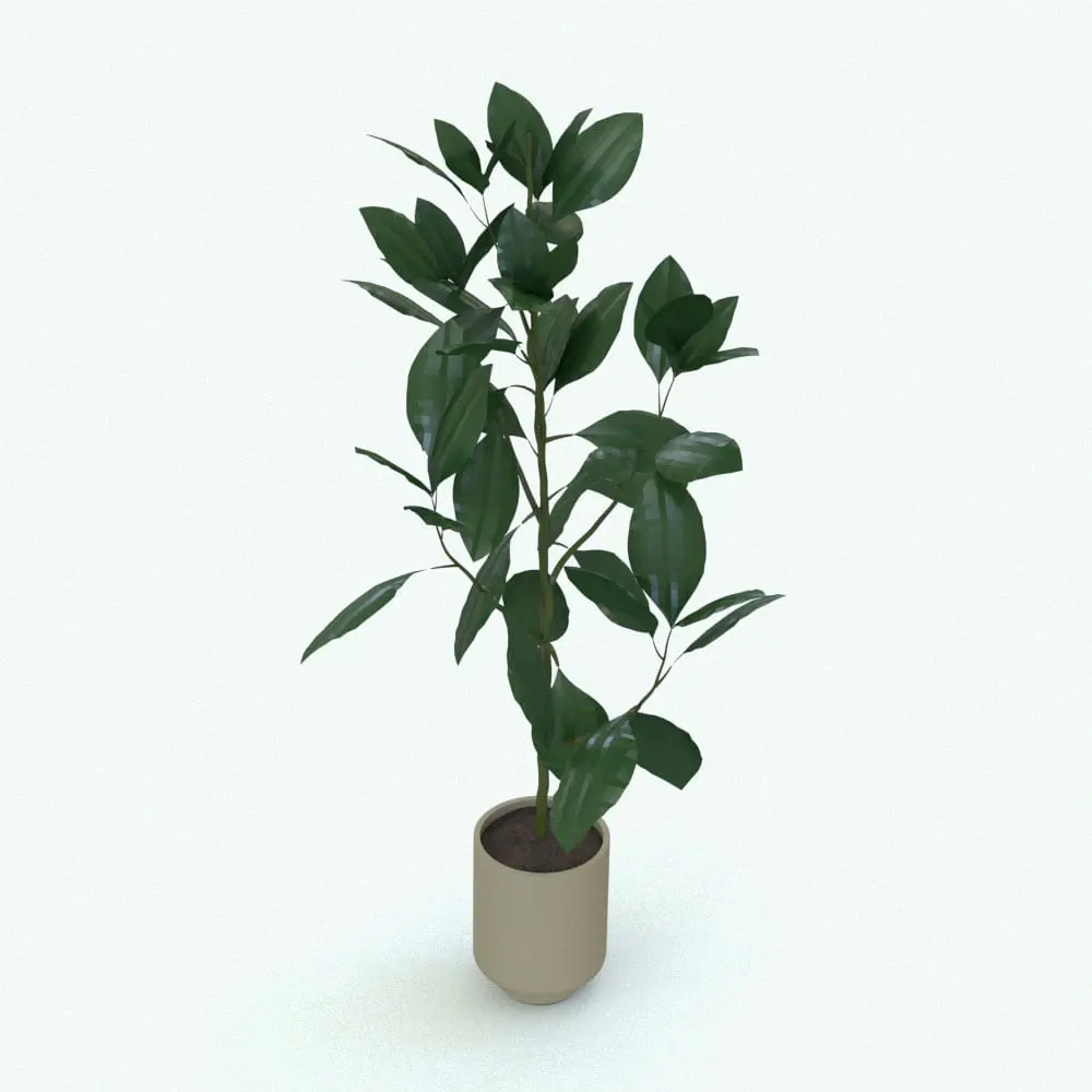 Revit Family / 3D Model - Ficus Elastica Revit Plant Family Rendered in Revit Ficus Elastica Revit Plant Family in 3D and rendered inside of Revit. Ideal for interior or exterior design projects, this and all our Revit plants are created with a hybrid technology that allows they to look realistic in any setting. Additionally, all our Revit plants include 3D Max, AutoCAD and Vray version so you can use them in different platforms.