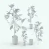 Ficus Elastica Revit Plant Family in different sizes and configurations to showcase its parametric flexibility. As seen on this image, either the plant of the planter can be turned on/off in case you want to use the plant with another pot or the pot with another plant. Don't let this opportunity go by and get this Ficus Elastica Revit Plant Family now!