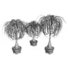 Revit Family / 3D Model - Ponytail Palm 3D Max/FBX Wireframe