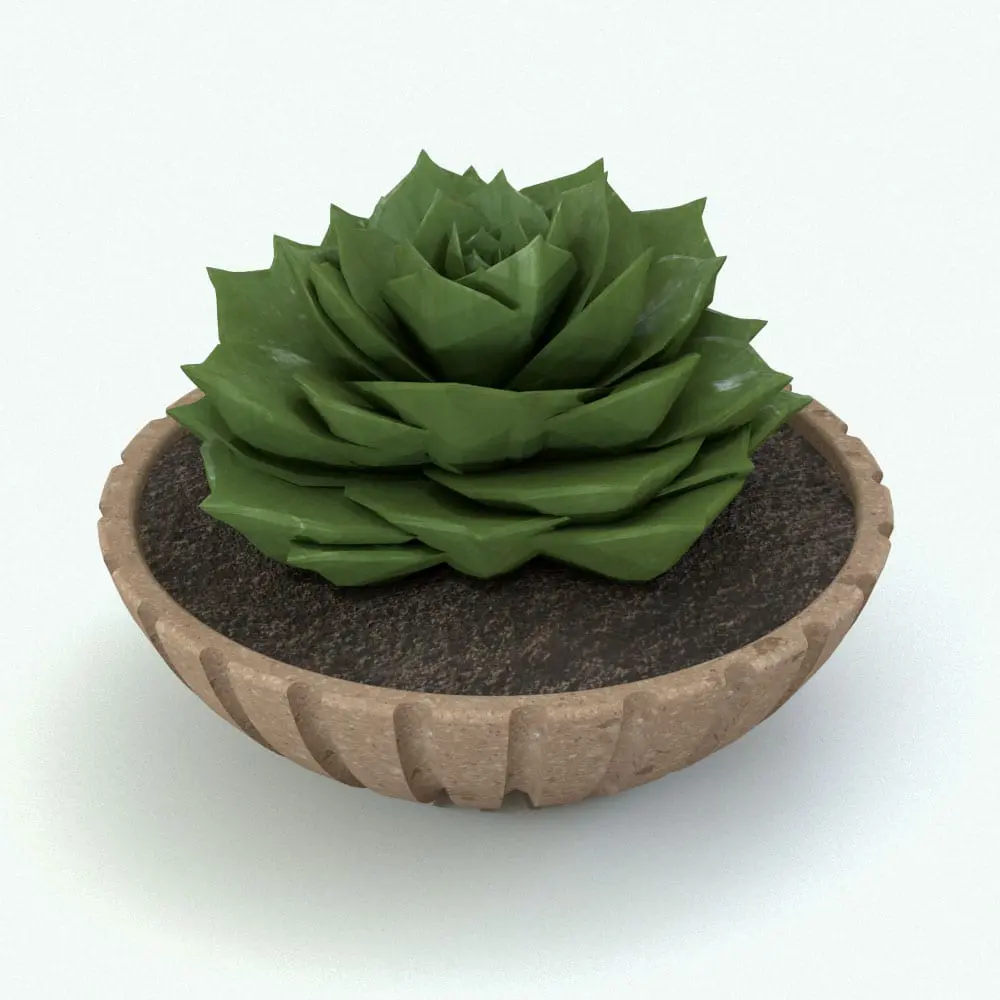 Revit Family / 3D Model - Houseleek Revit Plant Family Rendered in Revit Houseleek Revit Plant Family. Ideal for interior or exterior design projects, this and all our Revit plants are created with a hybrid technology that allows they to look realistic in any setting. Additionally, all our Revit plants include 3D Max, AutoCAD and FBX version so you can use them in different platforms.