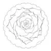 Revit Family / 3D Model - Houseleek - Revit and AutoCAD Top View