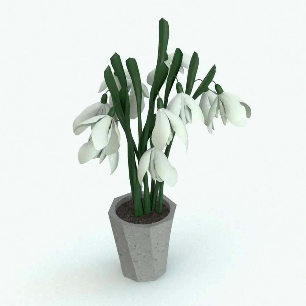 Revit Family / 3D Model - Snowdrop Revit Plant Family Rendered in Revit Snowdrop Revit Plant Family. Ideal for interior or exterior design projects, this and all our Revit plants are created with a hybrid technology that allows they to look realistic in any setting. Additionally, all our Revit plants include 3D Max, AutoCAD and FBX version so you can use them in different platforms.