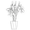 Revit Family / 3D Model - Snowdrop - Revit and AutoCAD Front View