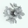 Magnolia Revit Flowers Family in top view and rendered in black and white (ambient occlusion style) to showcase the details better. Ideal for living rooms, kitchens, offices or any other space where you want to add a touch of warmth, this Magnolia Revit Flowers Family will elevate your renders to new heights.