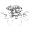 Revit Family / 3D Model - Saintpaulia - Revit and AutoCAD Front View