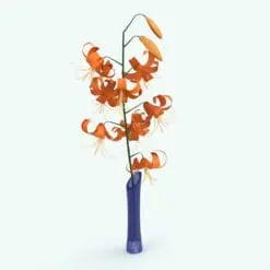 Tiger Lily Revit Plant Family in 3D and rendered with bright orange blooms and a blue glass vase. Ideal for interior or exterior design projects, this and all our Revit plants are created with a hybrid technology that allows they to look realistic in any setting. Additionally, all our Revit plants include 3D Max, AutoCAD and FBX version so you can use them in different platforms.