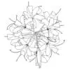 Revit Family / 3D Model - Tiger Lily - Revit and AutoCAD Top View