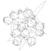 Revit Family / 3D Model - Tulips - Revit and AutoCAD Top View