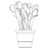 Revit Family / 3D Model - Tulips - Revit and AutoCAD Front View