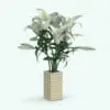 White Lilies Revit Flowers Family in 3D and rendered with a beige vase. Ideal for interior or exterior design projects, this and all our Revit flowers and plants are created with a hybrid technology that allows they to look realistic in any setting. Additionally, all our Revit plants include 3D Max, AutoCAD and FBX version so you can use them in different platforms.