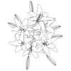 Revit Family / 3D Model - White Lilies - Revit and AutoCAD Top View