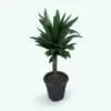 Yucca Revit Plant Family in 3D and rendered within Revit. Ideal for interior or exterior design projects, this and all our Revit plants are created with a hybrid technology that allows they to look realistic in any setting. Additionally, all our Revit plants include 3D Max, AutoCAD and FBX version so you can use them in different platforms.