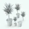 Yucca Revit Plant Family in different sizes and configurations. As seen on the image, this Revit plant allows you to turn on/off either the plant or the pot. This way, you can mix and match plants and pots from other Revit plants from our catalog. Get it today and be part of the Blackbee3D family.