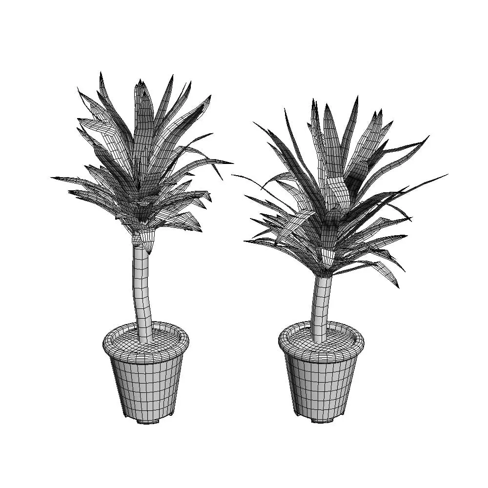 Revit Family / 3D Model - Yucca 3D Max/FBX Wireframe Revit Family / 3D Model - Yucca 3D Max/FBX Wireframe