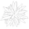 Revit Family / 3D Model - Yucca - Revit and AutoCAD Top View
