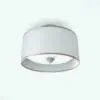 Classic Ceiling Light 3D Model in 3D and rendered in Vray with a white colored shade and gold accents. Ideal for residential spaces, offices, hotels and more, this high-quality light 3D model will transform your spaces in just a few clicks.