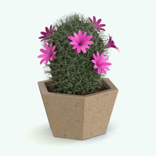 Revit Family / 3D Model - Powder Puff Cactus Rendered in Revit