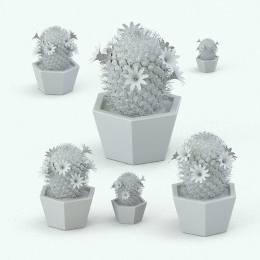 Revit Family / 3D Model - Powder Puff Cactus Plant Variations