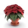 Revit Family / 3D Model - Poinsettia Rendered in 3D Max with Vray