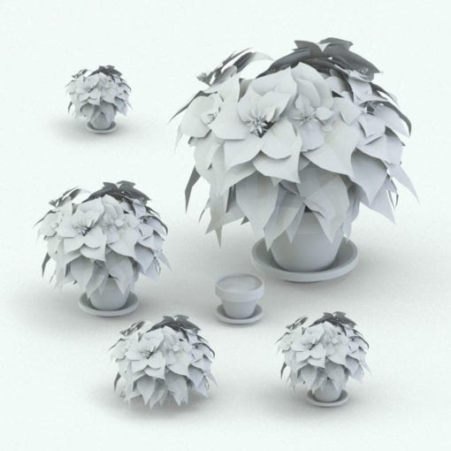 Revit Family / 3D Model - Poinsettia Variations