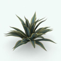 Revit Family / 3D Model - Agave Rendered in 3D Max with Vray Texture Set 1
