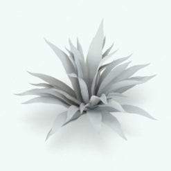 Revit Family / 3D Model - Agave Perspective