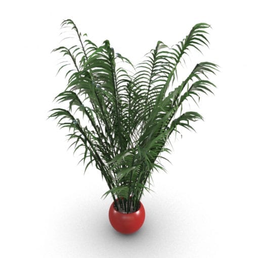 Revit Family / 3D Model - Areca Palm Rendered in 3D Max with Vray