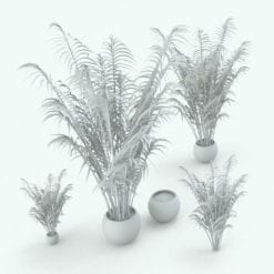 Revit Family / 3D Model - Areca Palm Variations