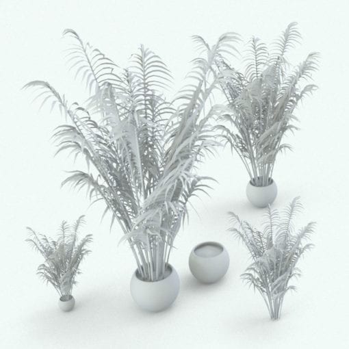 Revit Family / 3D Model - Areca Palm Variations