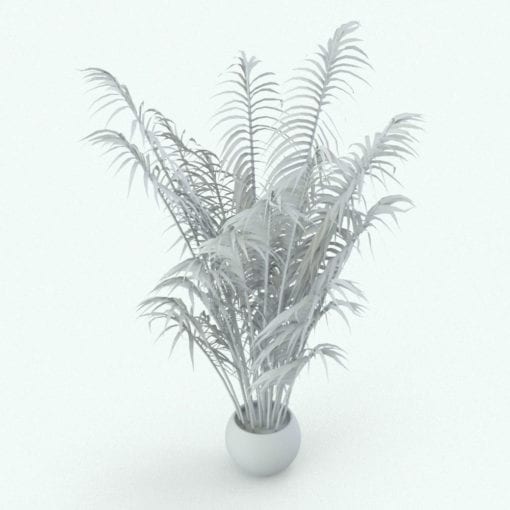 Revit Family / 3D Model - Areca Palm Perspective
