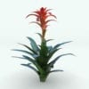 Revit Family / 3D Model - Bromeliad Plant Rendered in 3D Max with Vray