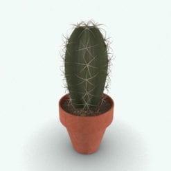 Revit Family / 3D Model - Cactus Plant Rendered in 3D Max with Vray
