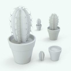 Revit Family / 3D Model - Cactus Plant Variations