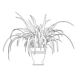 Revit Family / 3D Model - Spider Plant - Revit and AutoCAD Front View