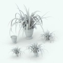 Revit Family / 3D Model - Spider Plant Variations