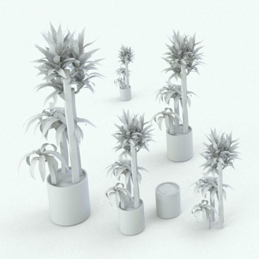 Revit Family / 3D Model - Corn Stalk Dracaena Variations