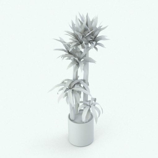 Revit Family / 3D Model - Corn Stalk Dracaena Perspective