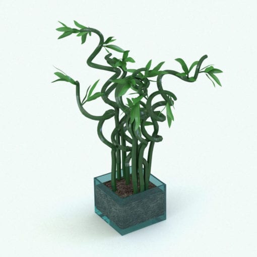 Revit Family / 3D Model - Curly Bamboo Plant Rendered in Revit