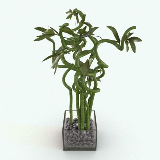 Revit Family / 3D Model - Curly Bamboo Rendered in 3D Max with Vray