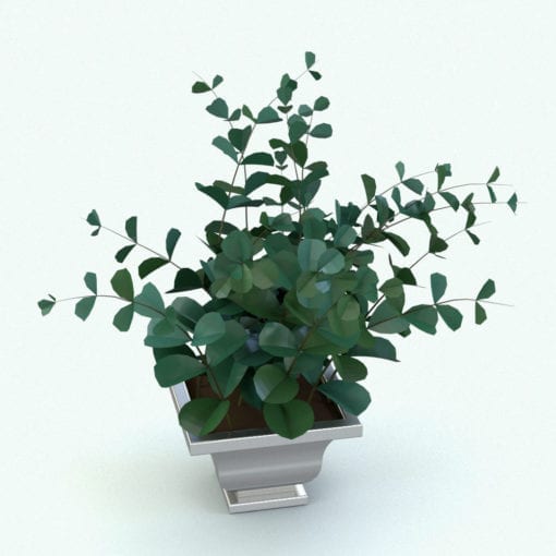 Revit Family / 3D Model - Eucalyptus Plant Rendered in Revit