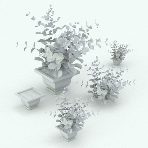 Revit Family / 3D Model - Eucalyptus Variations