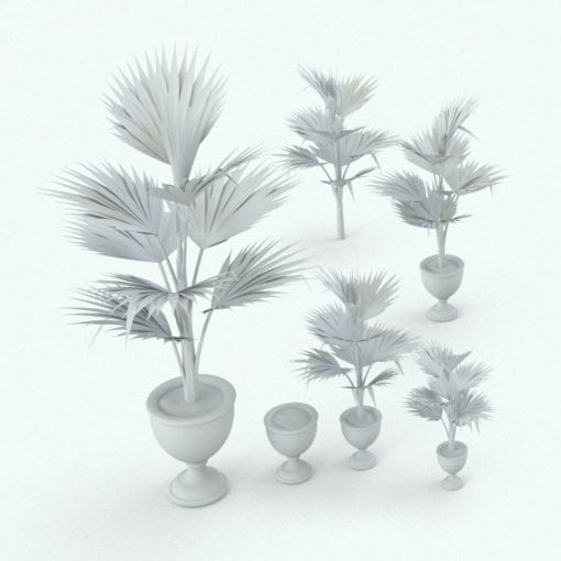 Revit Family / 3D Model - Fan Palm Variations