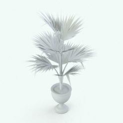 Revit Family / 3D Model - Fan Palm Perspective
