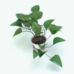Revit Family / 3D Model - Golden Devils Ivy Plant Rendered in Revit