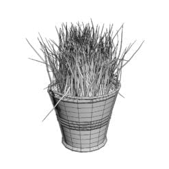 Revit Family / 3D Model - Grass in a Pot 3D Max/FBX Wireframe