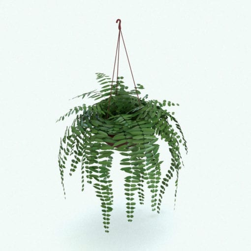 Revit Family / 3D Model - Hanging Fern Plant Rendered in Revit 1