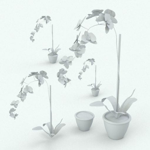 Revit Family / 3D Model - Orchid Variations