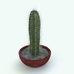 Revit Family / 3D Model - Palmeri Cactus Plant Rendered in Revit